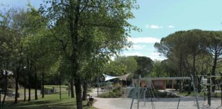 Precipita da due metri di altezza: bimbo di cinque anni in gravi condizioni