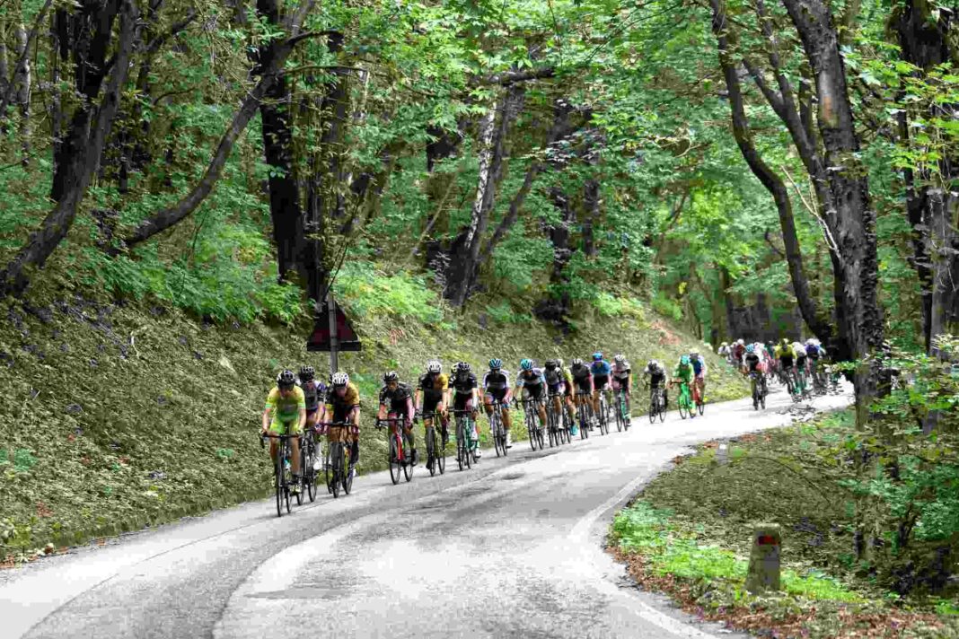 udine@news-ciclismo-giro-fvg.jpeg
