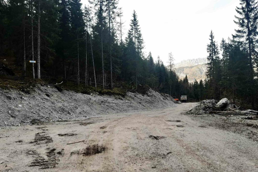 Camionabile-Sappada-Prato-Carnico