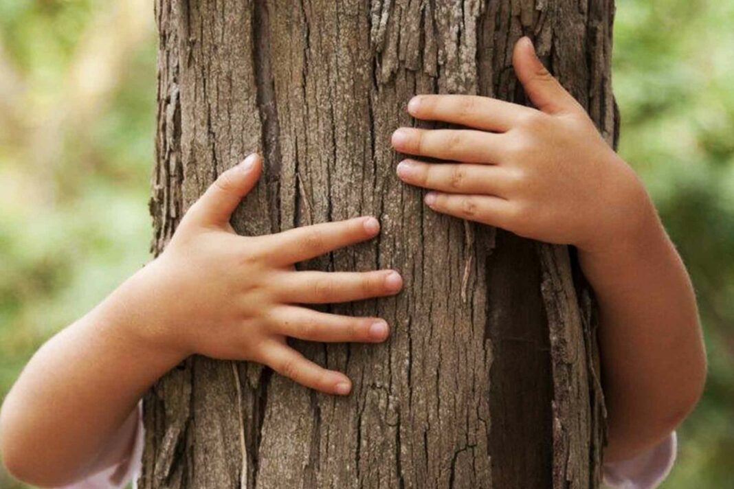 Giornata-nazionale-degli-alberi