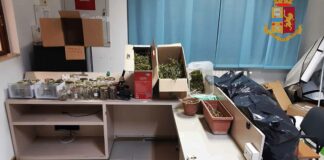Operazione-antidroga-arresto-Tolmezzo