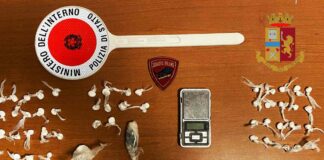 Questura-Udine-arresti-droga-