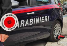Procura di Udine arresto