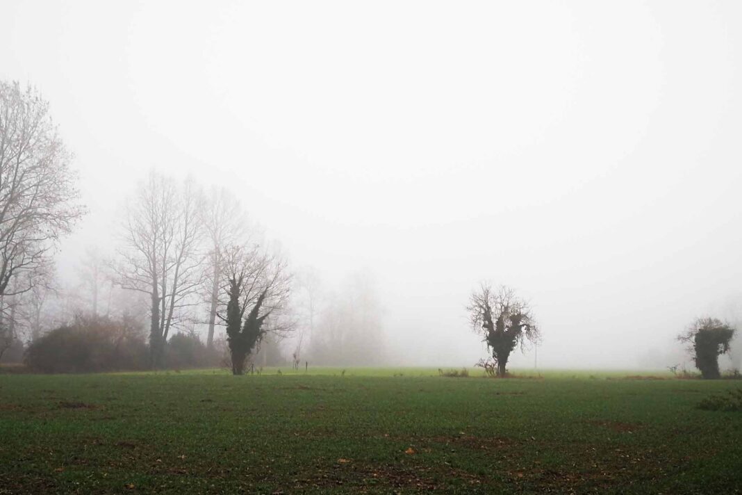 Meteo Fvg cielo coperto