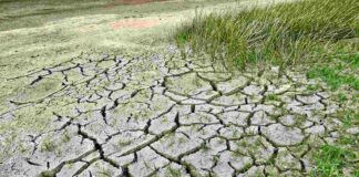arpa bilancio meteo 2022