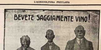 vino-italiano-Canada-salute