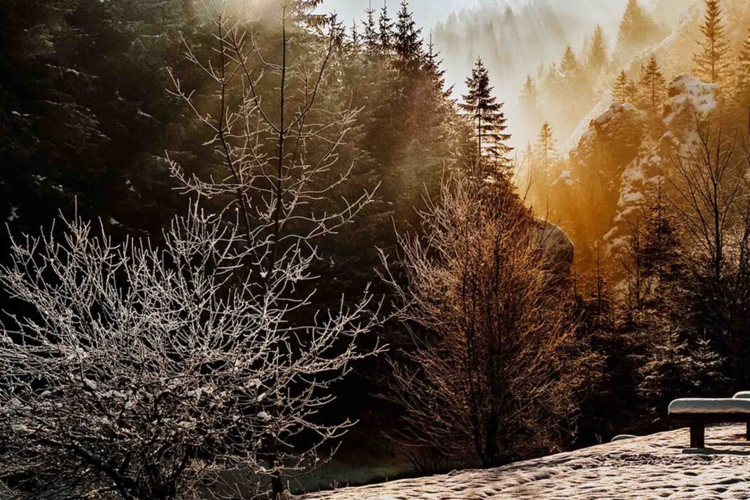 meteo-fvg