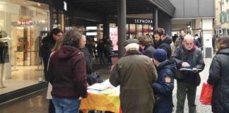 udine@news-avs-firme-elezioni