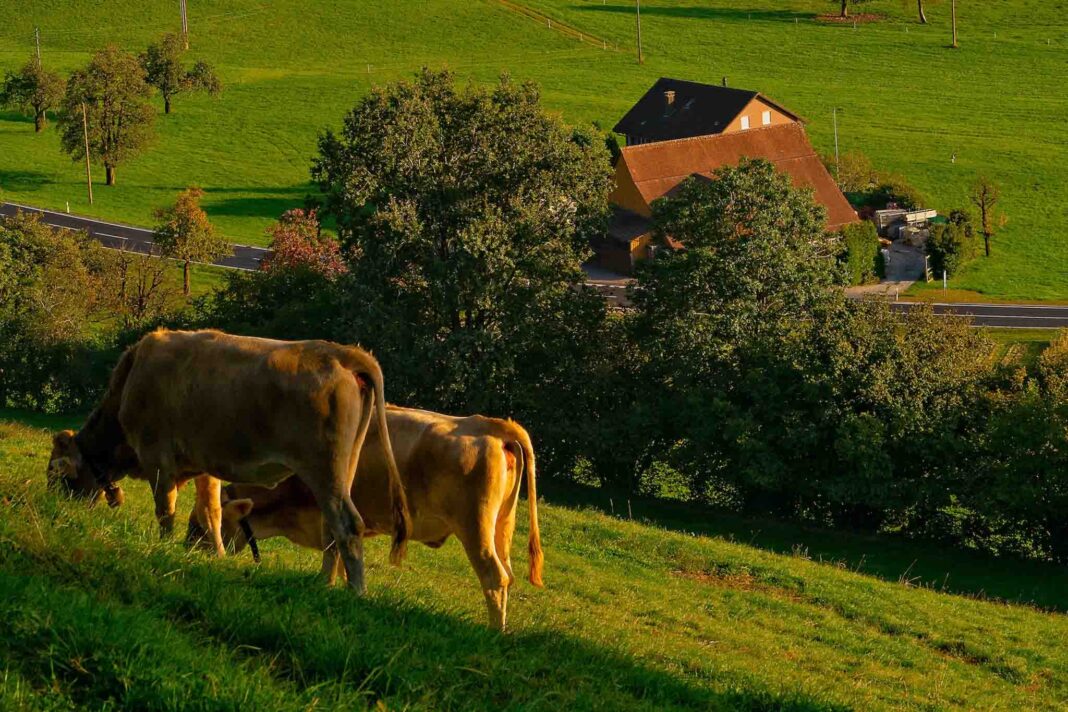 Scuola-di-montagna-Barcis
