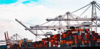 export-fvg