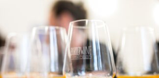 Borderwine, Villa Manin, Vino naturale