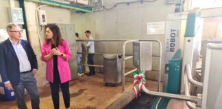 Inaugurato-a-Cividale-robot-di-mungitura