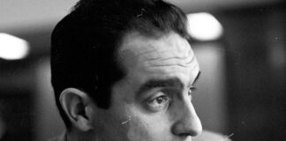 Lector-in-Palma-Italo-Calvino_