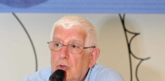 Enea Fabris