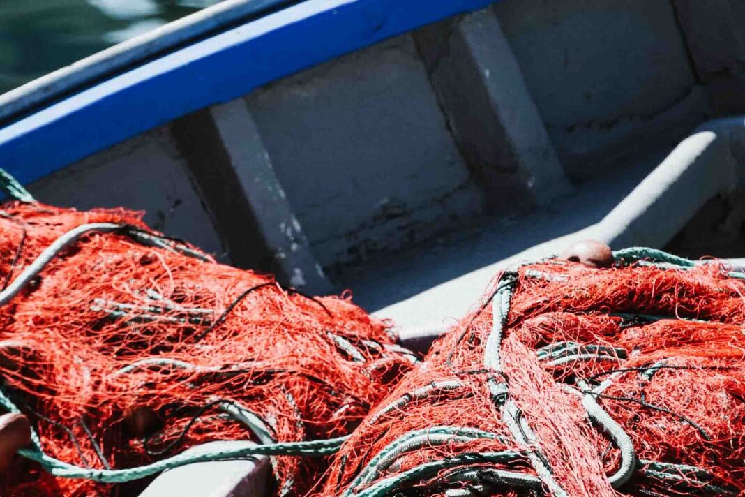 pesca-a-strascico