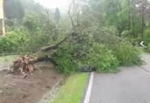 maltempo fvg