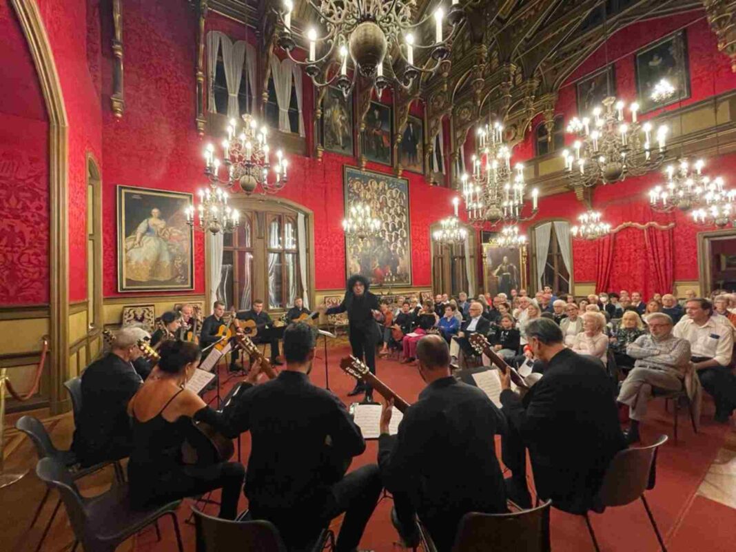 concerti al castello