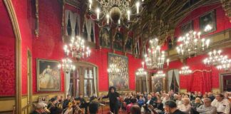concerti al castello