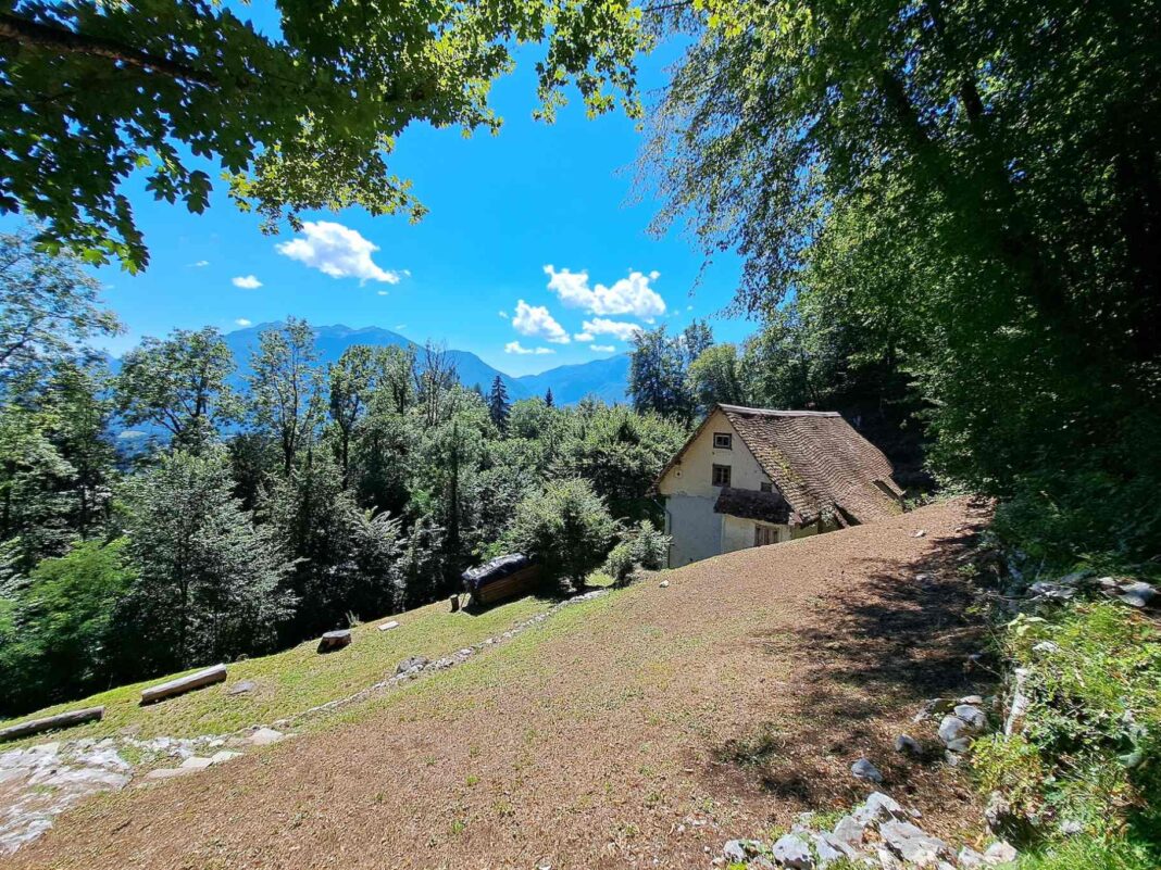 vicino/lontano