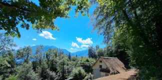vicino/lontano