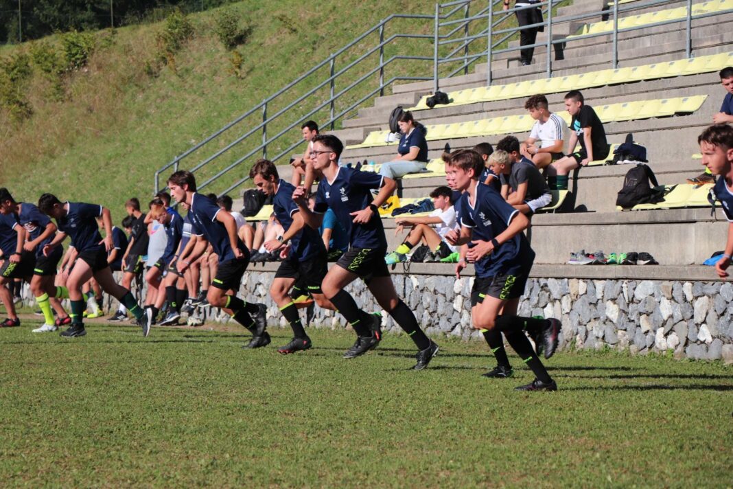 arbitri