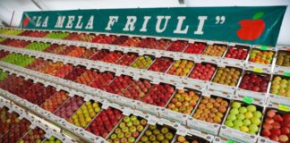 mostra regionale mela