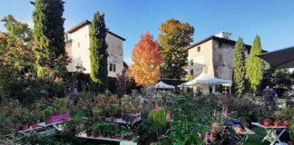 Castello-di-Strassoldo