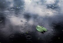 meteo