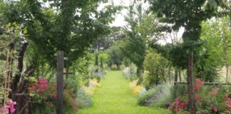 giardino mediterraneo cividale del friuli