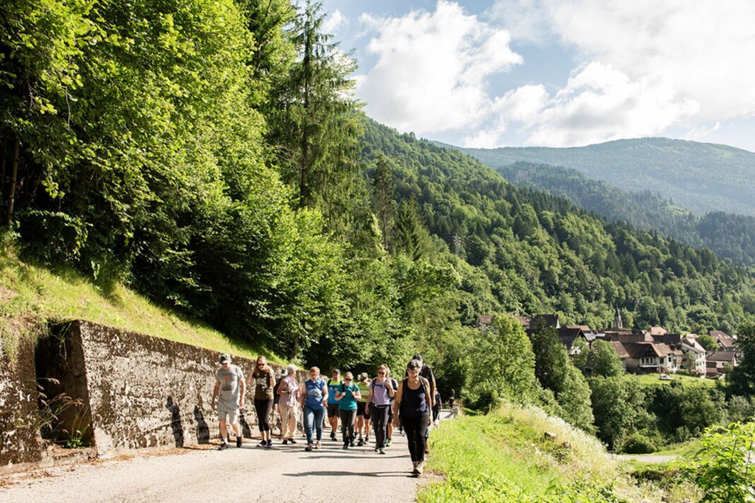 Festival Estensioni