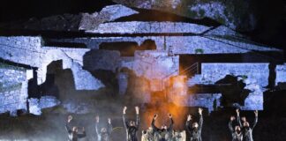 tiere teatro festival