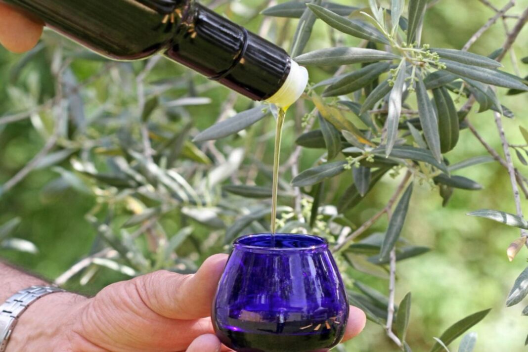 friuli doc confagricoltura