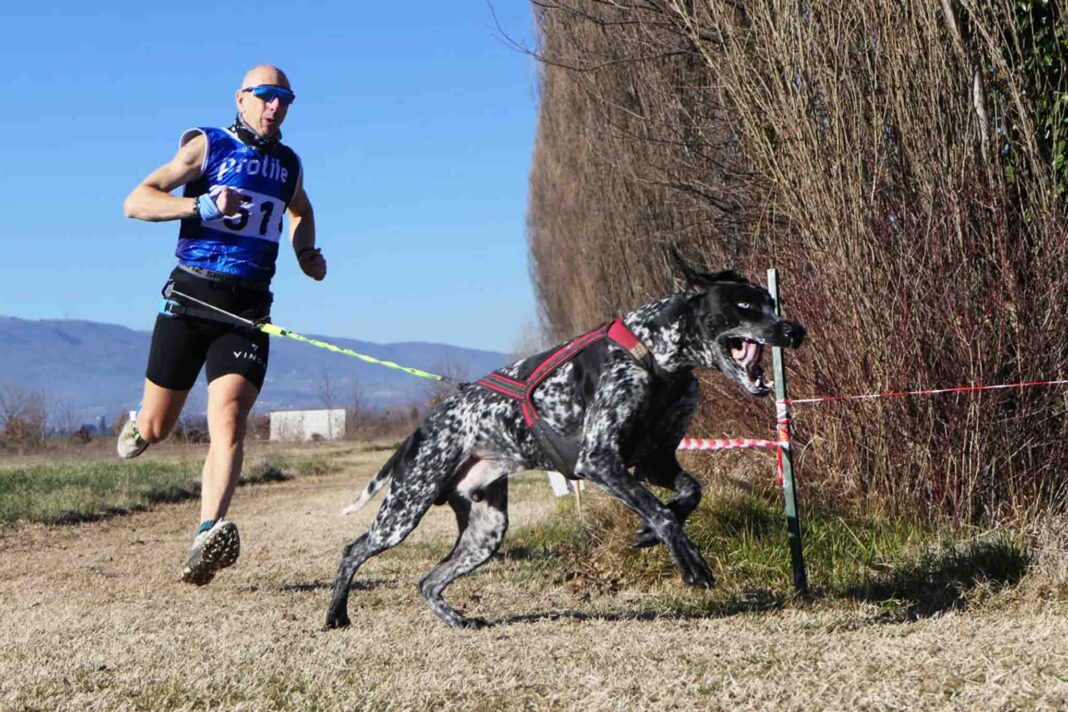 Mortegliano-Campionato-Nazionale-Canicross-CSEN