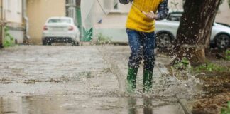 meteo