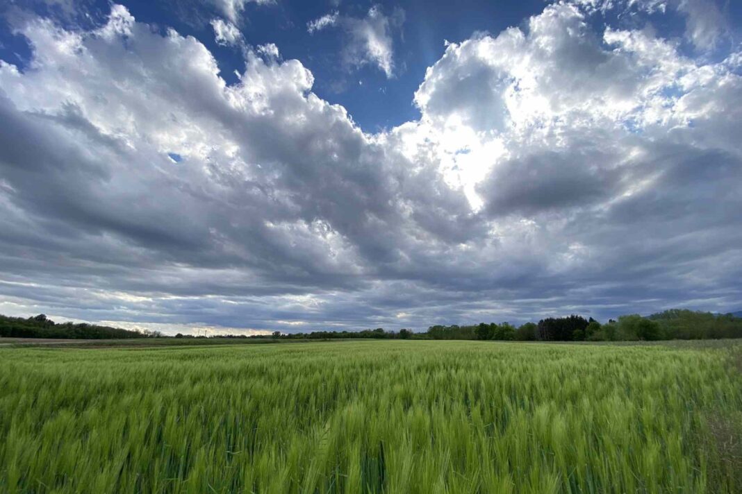 meteo friuli