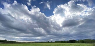 meteo friuli