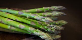 Torna Asparagus, la rassegna enogastronomica organizzata dal Ducato dei Vini Friulani