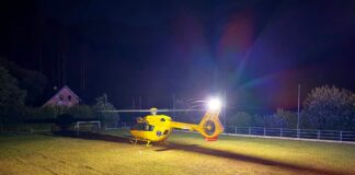 Donna punta da diversi calabroni a Malga Fleons: decisivo il soccorso in elicottero
